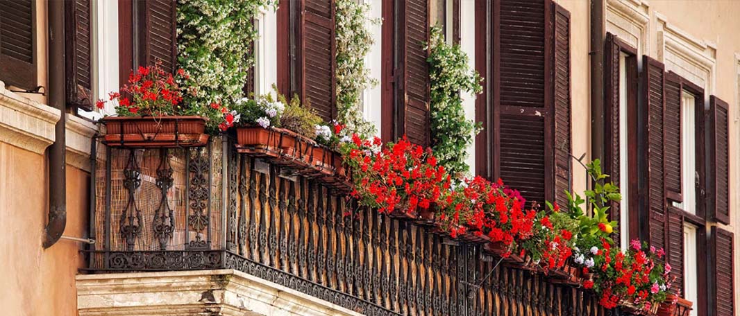 Beyoğlu Çiçekçi – Semtin Ruhunu Taşıyan Taze ve Özel Çiçekler