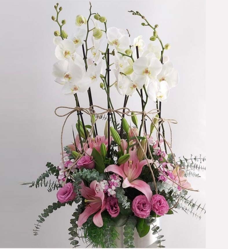 6 Dal Beyaz Orkide Lilyum